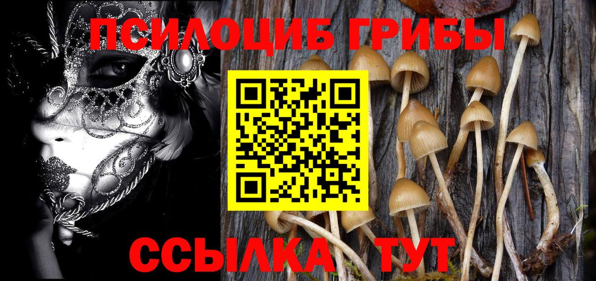 Псилоцибиновые грибы Psilocybine cubensis  Вход с VPN  Нефтекумск 